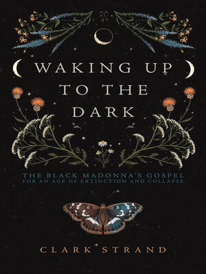 cover image of Waking Up to the Dark